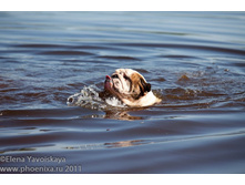 ���� �������� 044.jpg