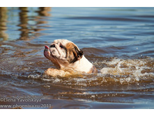 ���� �������� 048.jpg