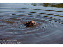 ���� �������� 049.jpg