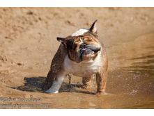 ���� �������� 054.jpg