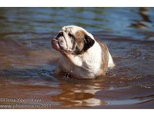 ���� �������� 055.jpg