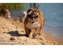 ���� �������� 063.jpg