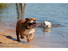 ���� �������� 078.jpg