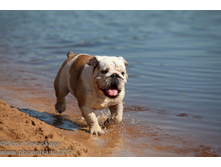 ���� �������� 088.jpg