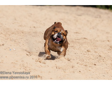 ���� �������� 091.jpg