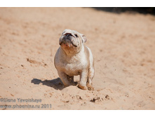 ���� �������� 098.jpg