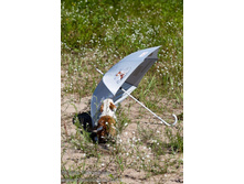 ���� �������� 116.jpg