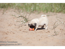 ���� �������� 119.jpg