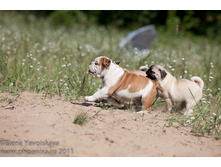 ���� �������� 125.jpg