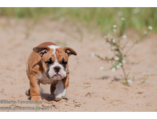 ���� �������� 130.jpg