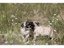 ���� �������� 282.jpg