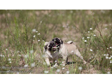 ���� �������� 283.jpg