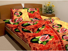 ������ �������