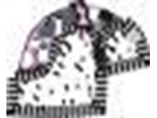 43/901 ����� ������� �����������