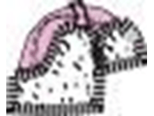 ������ 06,03 (NXPowerLite)_8318_image1380.png