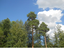 DSCN0001.JPG
