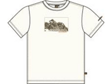 ������ 06,03 (NXPowerLite)_8318_image195.png