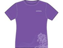 ������ 06,03 (NXPowerLite)_8318_image2261.png