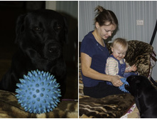 �� ��������� �� ����