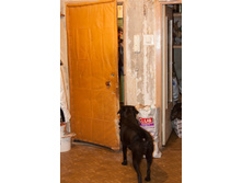 ���� ������