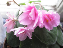 ������������