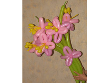 ������� �����