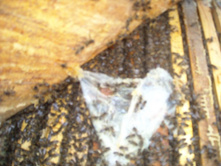 DSCN2355.JPG