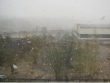 26 ������ 2010