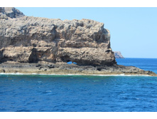 ����� 741.jpg