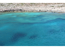 ����� 828.jpg