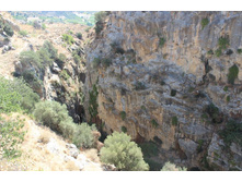 ����� 908.jpg