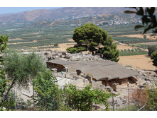 ����� 981.jpg