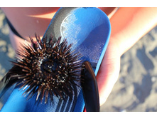 ����� 1040.jpg