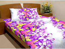 �������� �����