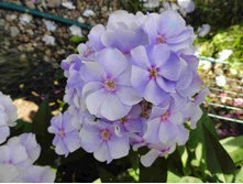 �����  �������