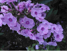 �����  ������ �����- �������