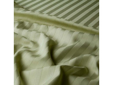 ������� ���� -3