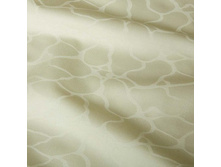 ������ ��������