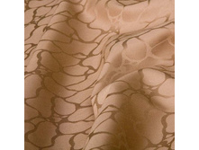 ������ �������� �������