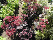 ������ ������.JPG