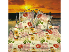 ������� ����