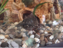 ����������� 119.jpg