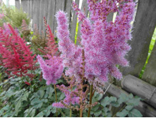 ��������  �������