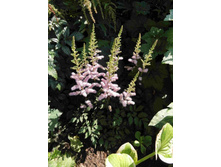 ��������  �������JPG