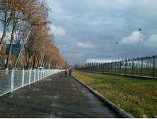 2012-12-12 11.06.52.jpg