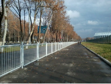 2012-12-12 11.07.06.jpg