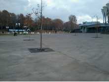 2012-12-12 11.18.26.jpg