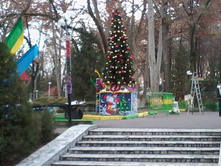 2012-12-12 11.40.08.jpg