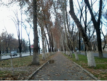 2012-12-12 11.46.58.jpg