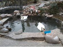 2012-12-15 14.02.46.jpg